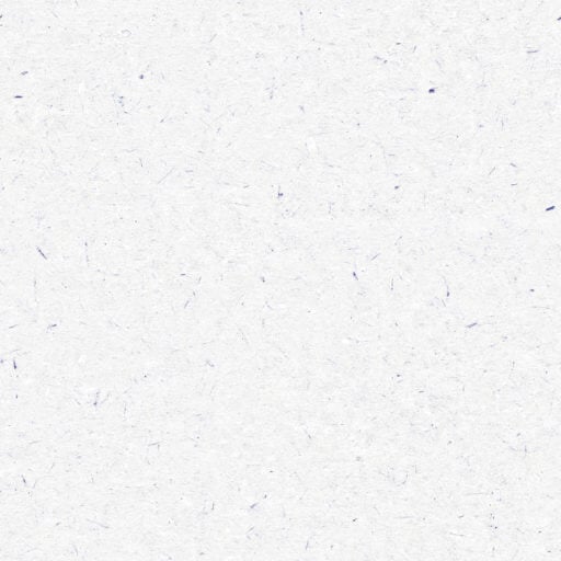 white paper texture seamless background